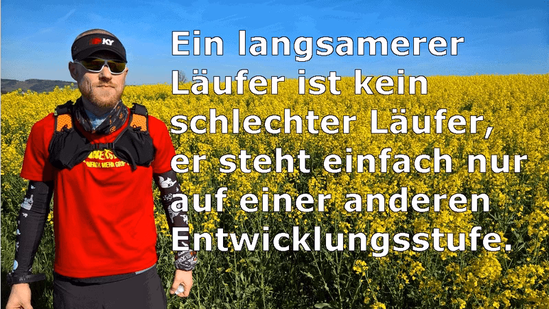 Entwicklungsstufe