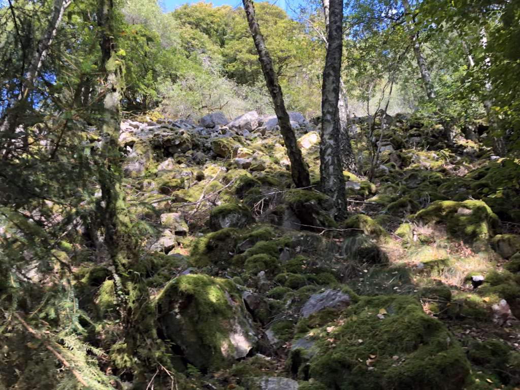 Verblocktes Geröllfeld auf dem Soonwaldsteig beim SoNUT