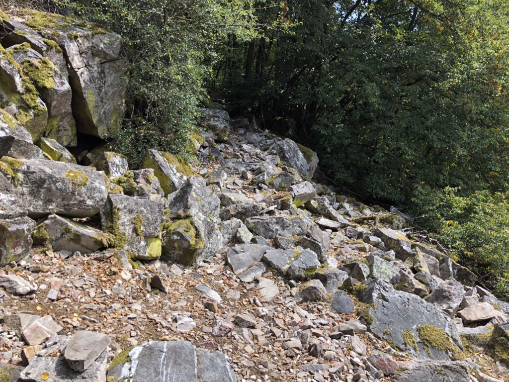 Steiniger Trailabschnitt mit großen Felsbrocken beim SoNUT