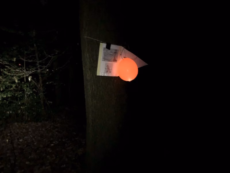 Verpflegungspunkt an der Erpeler Ley beim KoBoLT 2018