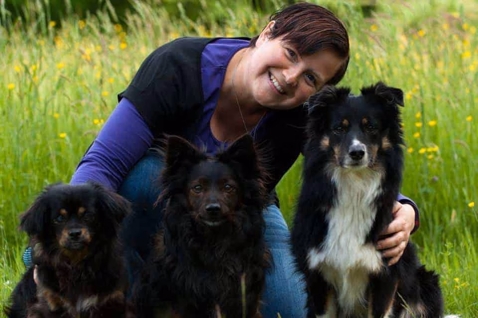 Hund und Hitze