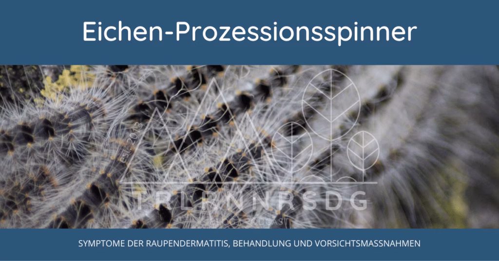 Eichen-Prozessionsspinner