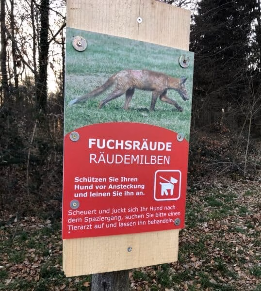 Warnschild am Waldrand: Vorsicht Fuchsräude