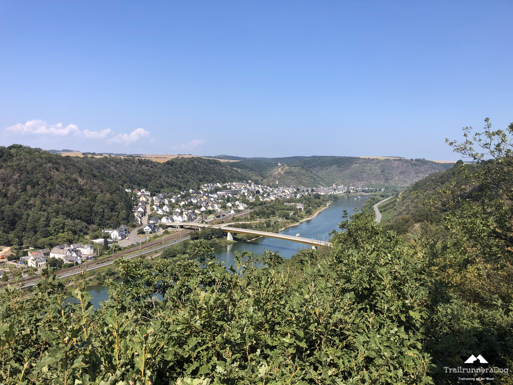 Blick über die Mosel von den Weinbergen bei Winningen