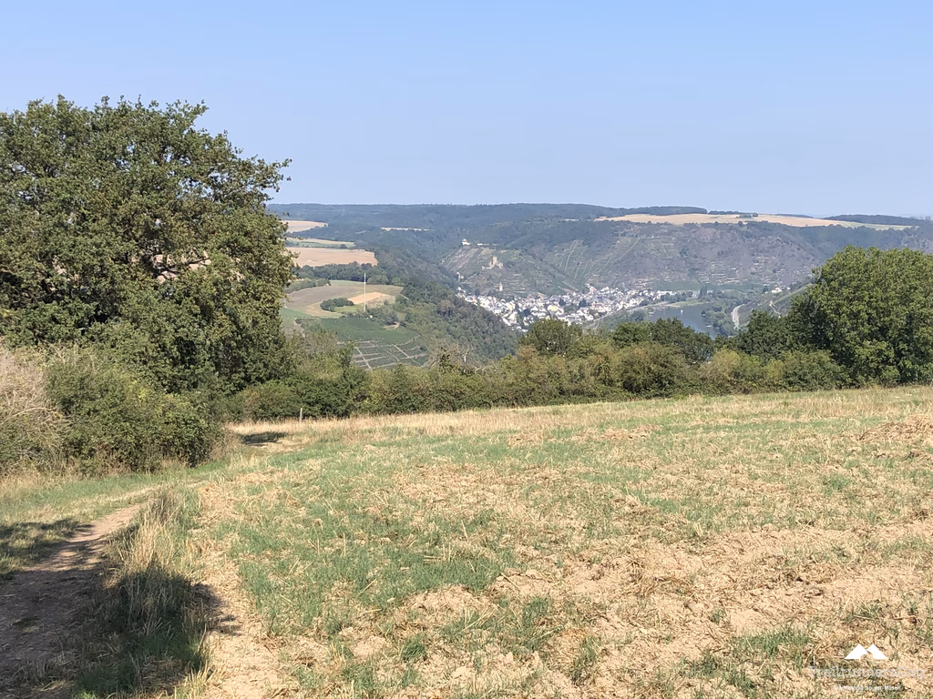 Radweg durch die Weinberge auf dem Weg nach Koblenz