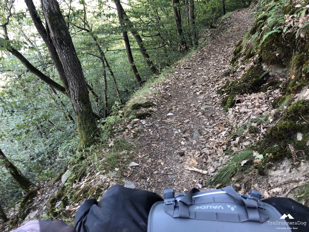 Waldweg auf dem Moselsteig Richtung Hatzenport
