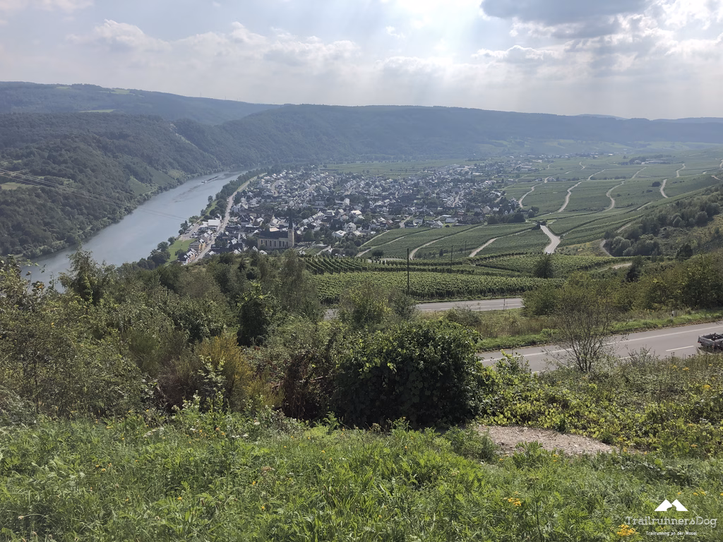 Trail durch lichten Wald oberhalb der Mosel