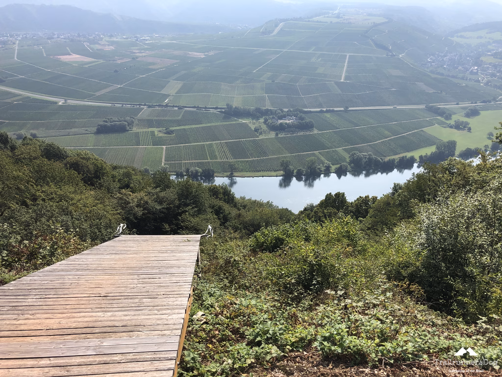 Aussicht von den Höhen über eine Moselschleife