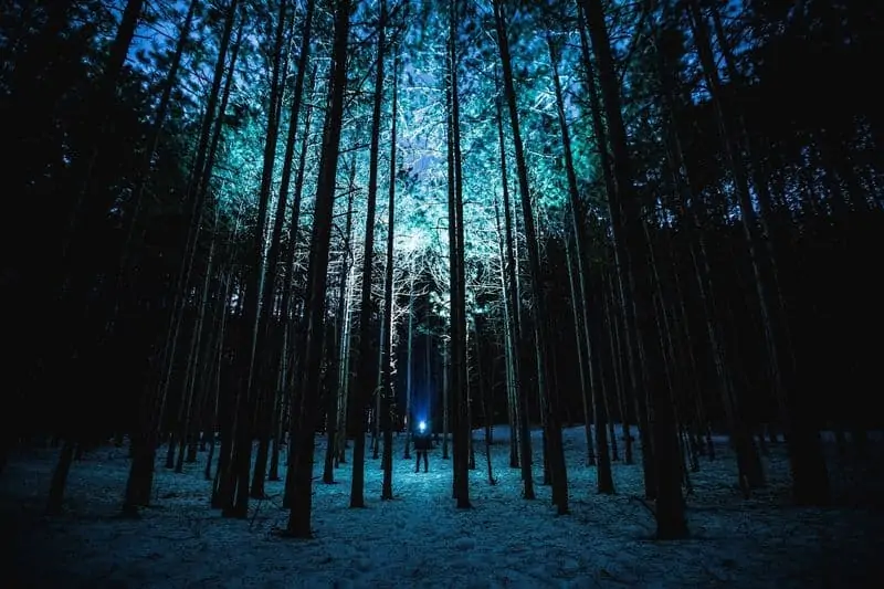 Teddy Kelley Mann im Wald bei Nacht